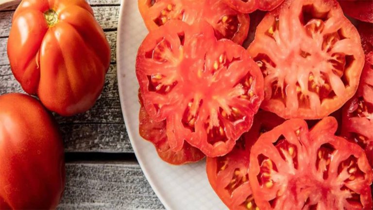 پس زمینه گوجه فرنگی بیف استیک