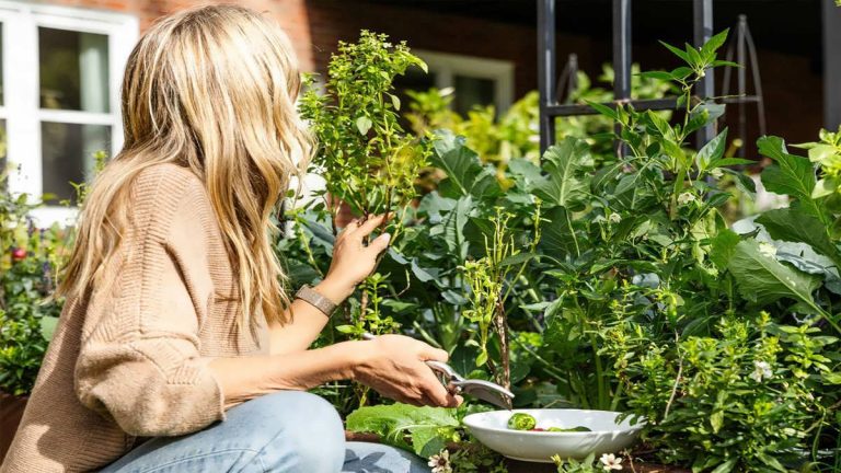 اشتباهات رایج در باغبانی