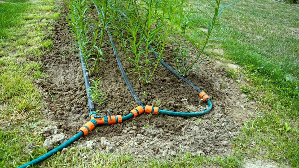 آبیاری قطره ای