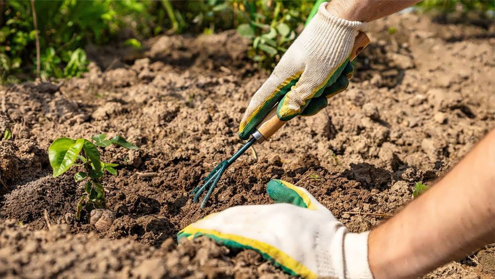 شل کردن خاک باغچه