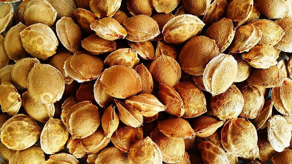 بسته بندی دانه ها