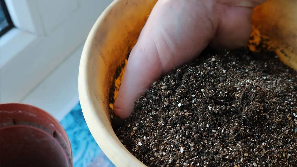 آماده سازی گلدان ها