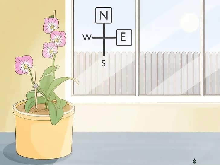 نور زیادِ غیرمستقیم