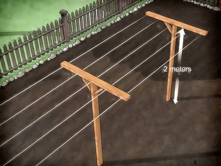 ساخت داربست کیوی