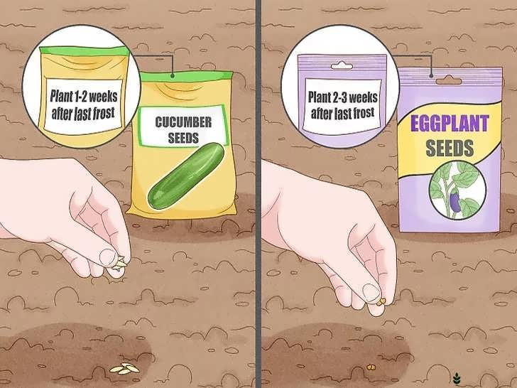 بررسی تاریخ آخرین یخبندان