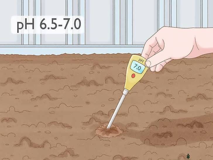 انتخاب محل مناسب کاشت