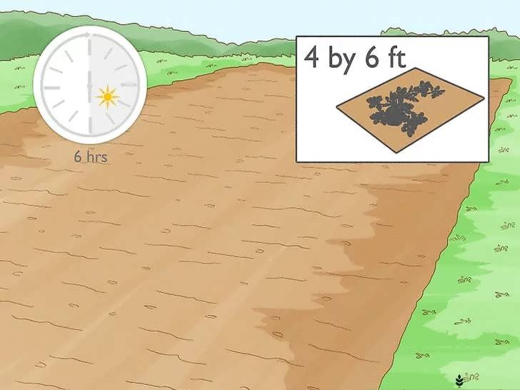 انتخاب محل کاشت