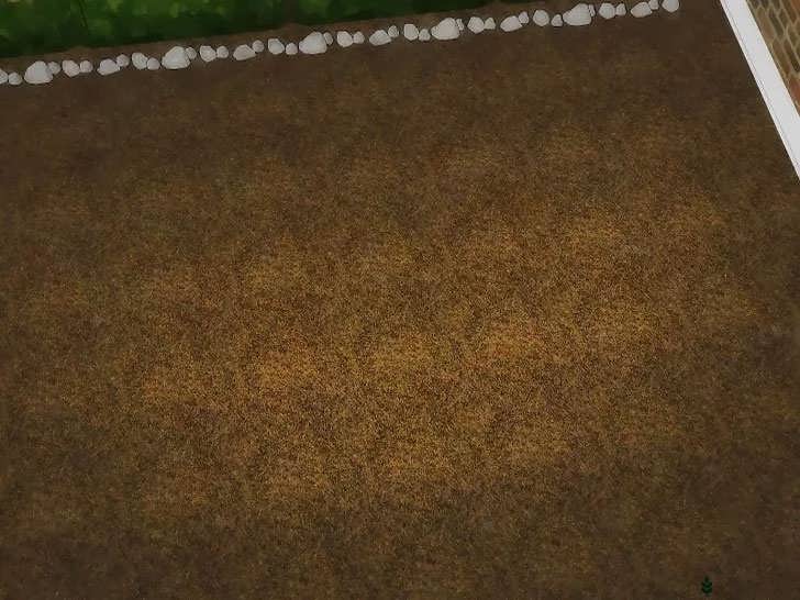 انتخاب محل مناسب کاشت