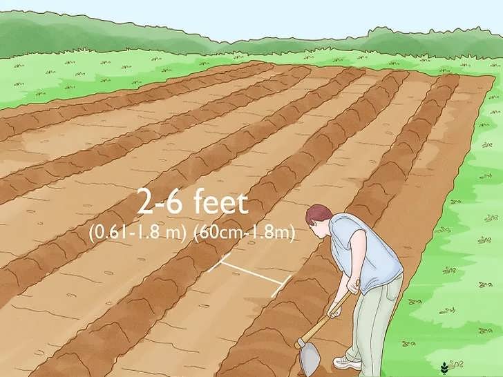 ایجاد پشته های کاشت