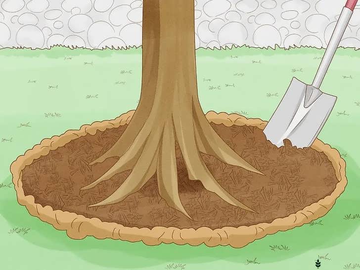 ایجاد لبه برای مالچ