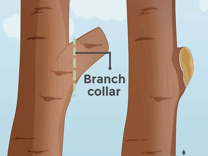 برش نهایی و تمیز