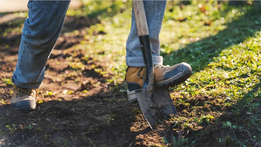 روش های باغبانی