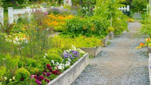 شروع باغبانی