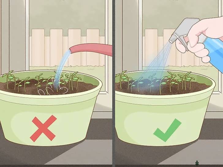 مرطوب نگه داشتن خاک