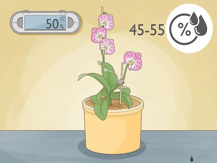 رطوبت متعادل