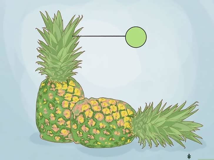 انتخاب آناناس تازه