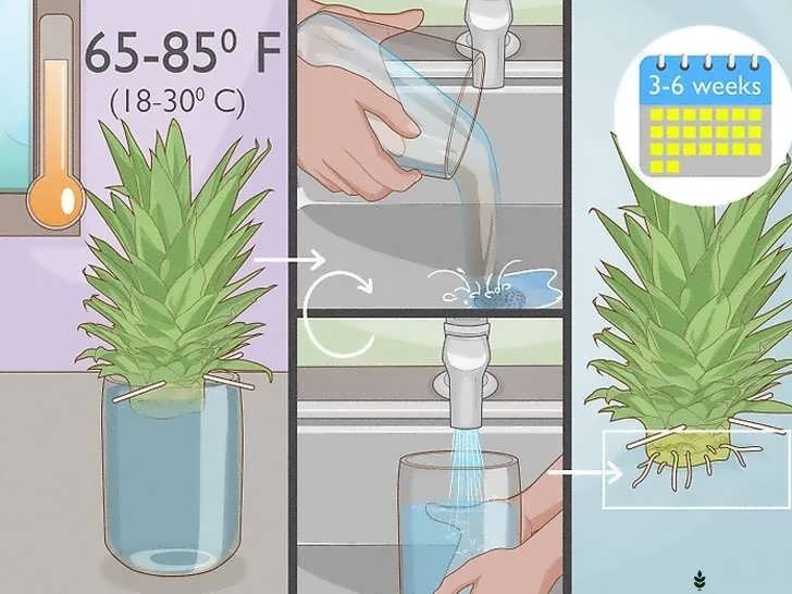 قرار دادن در نور غیرمستقیم