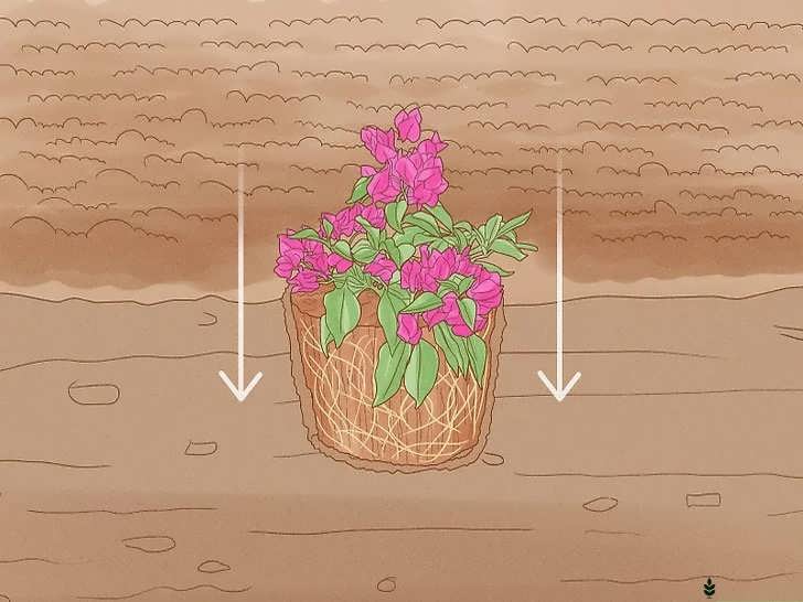 عمق مناسب کاشت