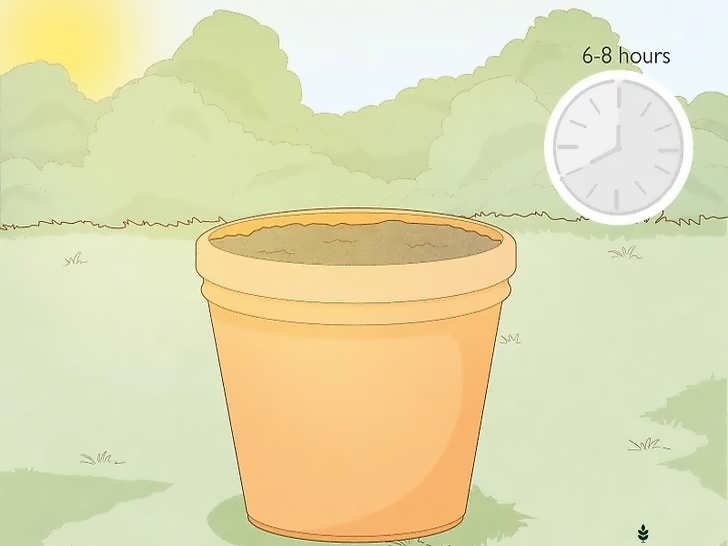 زمان مناسب کاشت