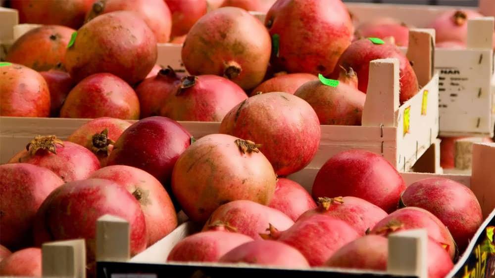 نگهداری انار