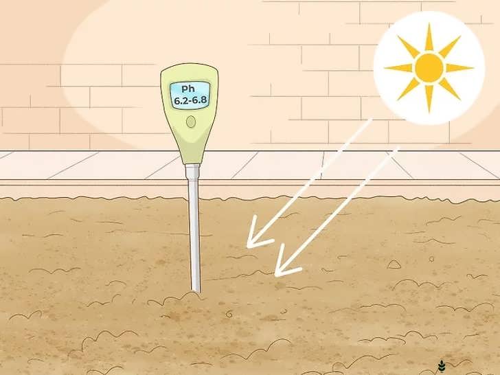 آماده سازی خاک باغچه