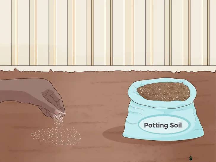 آماده سازی خاک