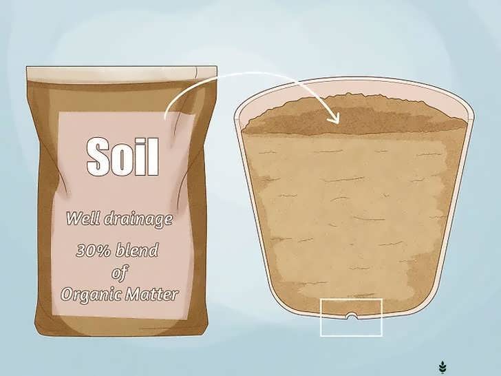 آماده سازی گلدان و خاک