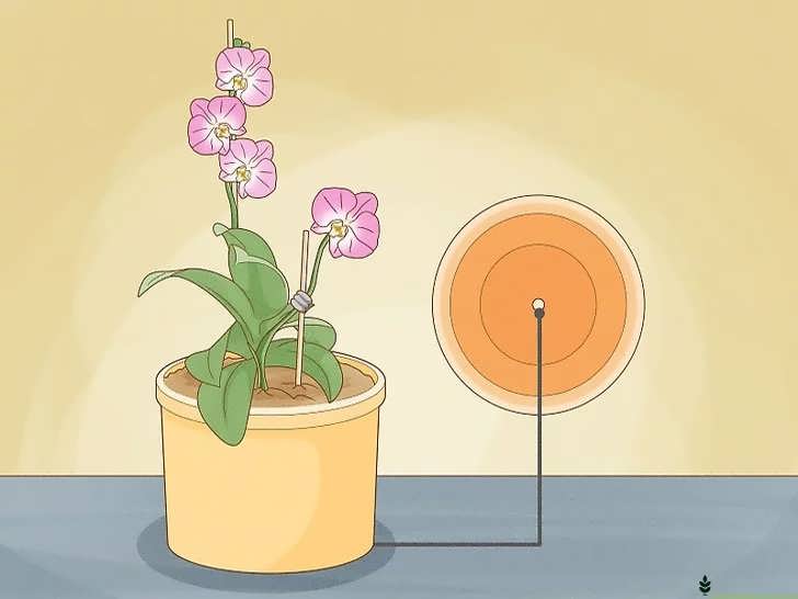 زهکشی مناسب