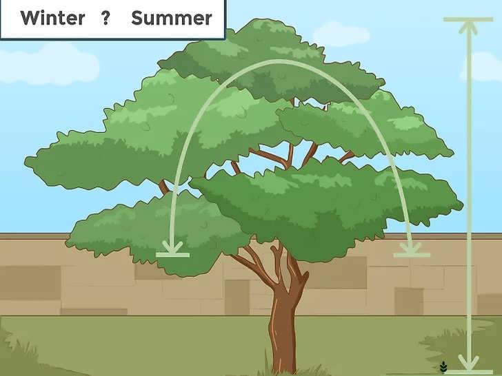 برنامه ریزی و هدف گذاری هرس