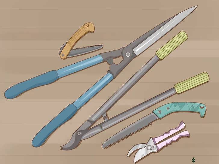 آماده سازی ابزار هرس