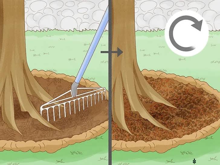 نوسازی مالچ قدیمی