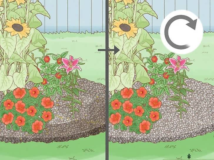 تعویض مالچ غیرآلی