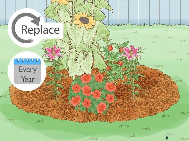 تعویض سالانه مالچ آلی