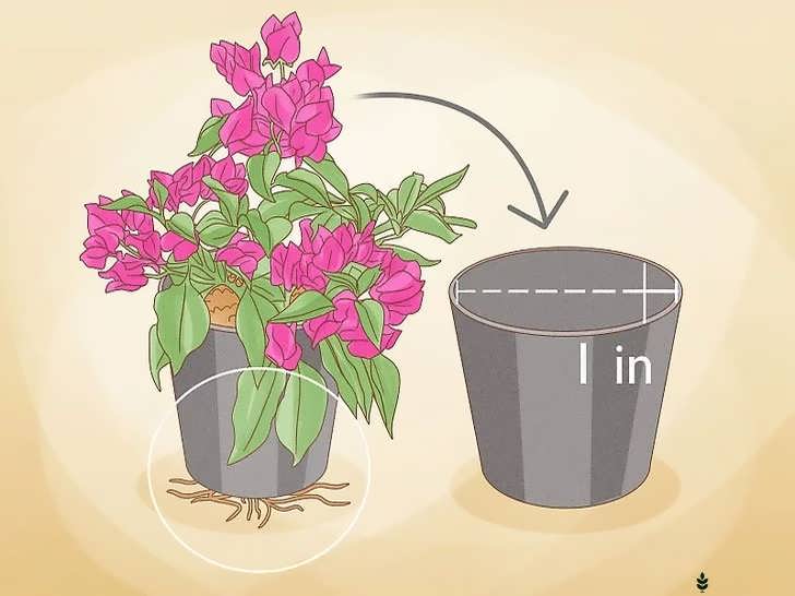 تعویض گلدان گل کاغذی