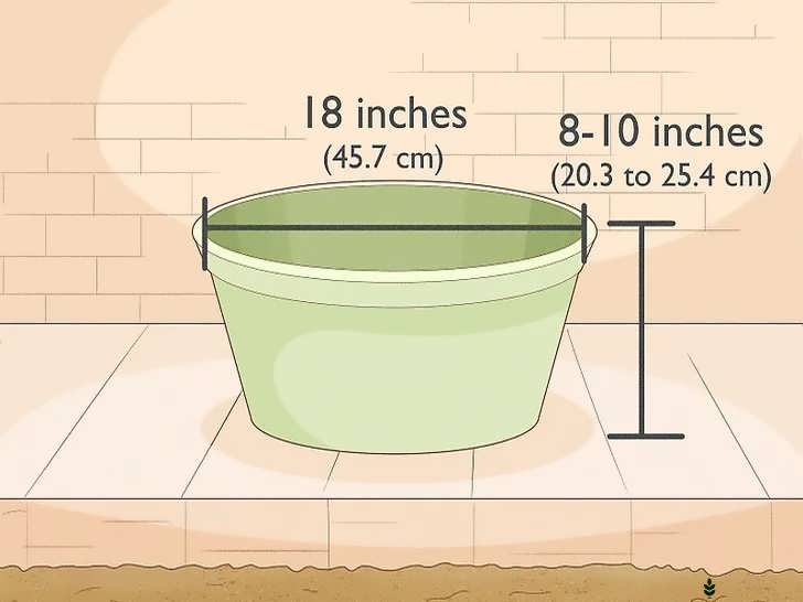 انتخاب گلدان مناسب