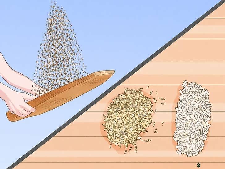 جداکردن دانه ها