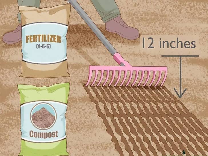 مواد مغذی خاک