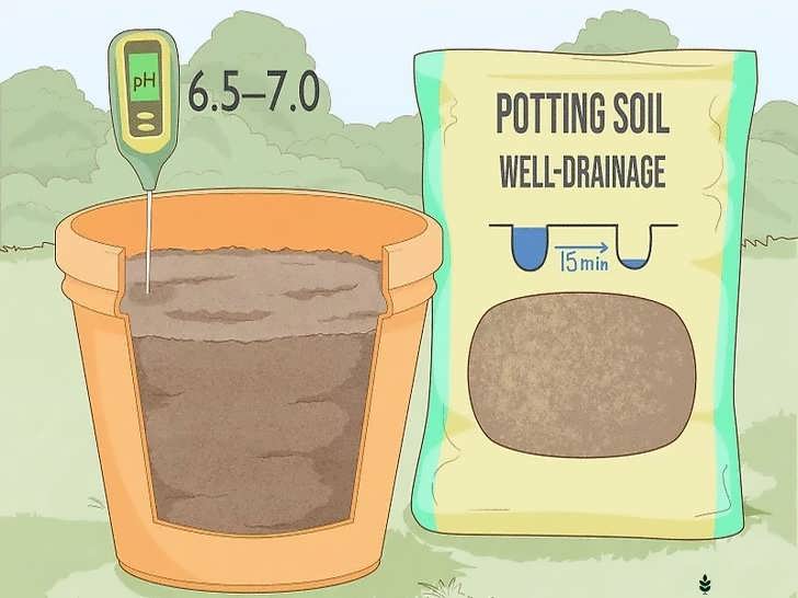 سطح اسیدیته خاک