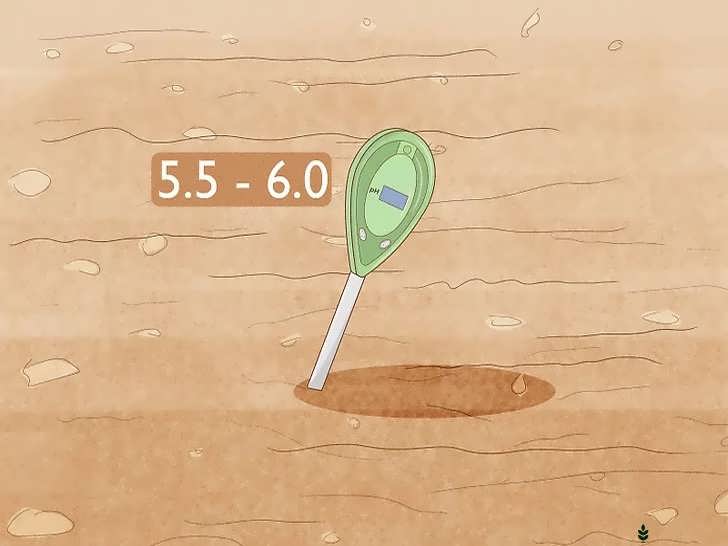 سطح اسیدیته خاک (pH)