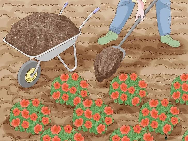 پخش مالچ به صورت توده ای