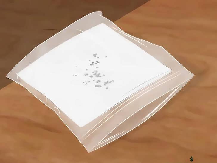 جوانه دار کردن بذرها