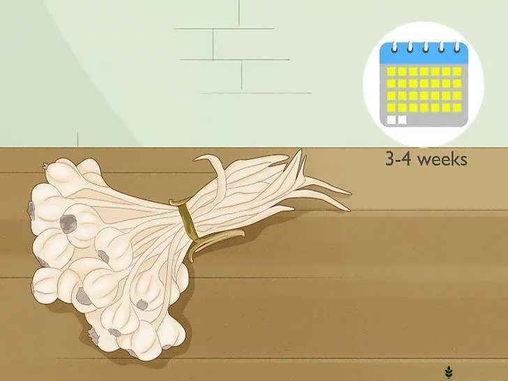 خشک کردن برای نگهداری