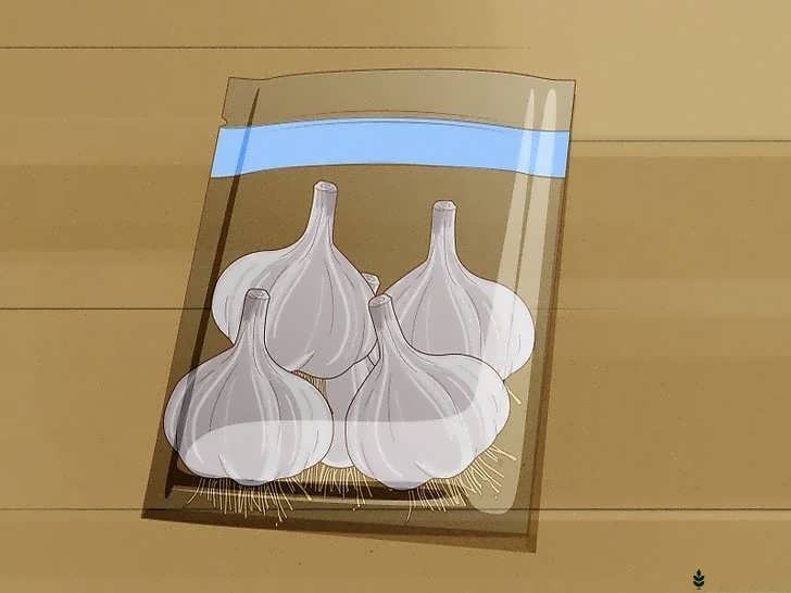 نگهداری در کیسه کاغذی