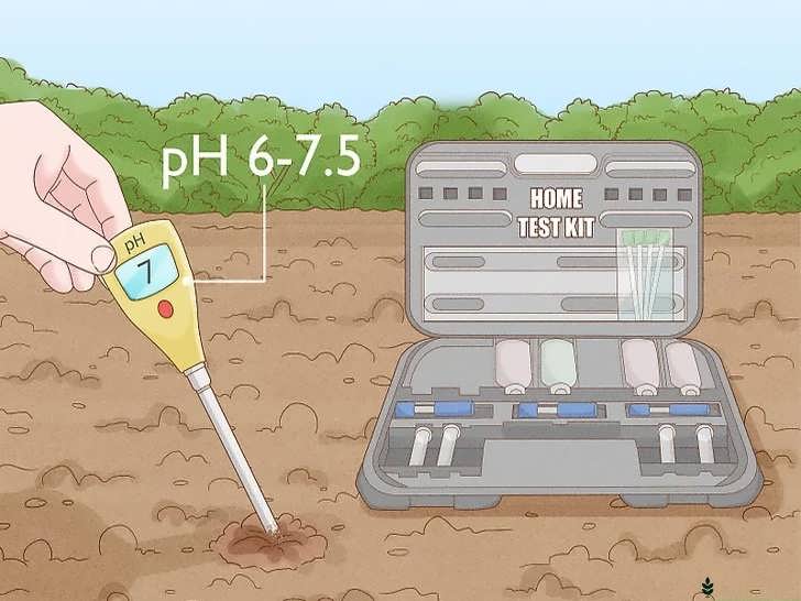 آزمایش pH خاک