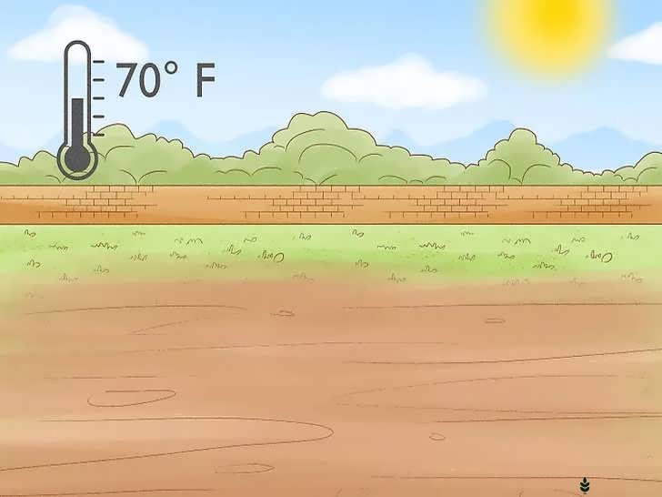 آب وهوای گرم (دمای مناسب رشد)