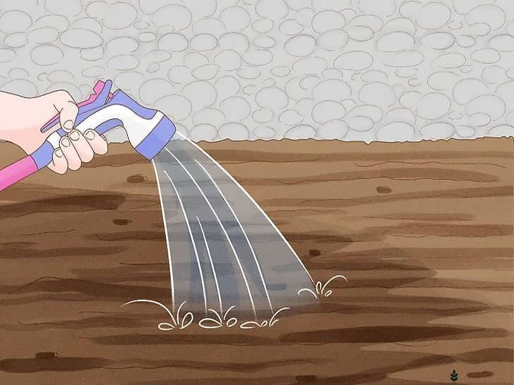 آبیاری مالچ آلی