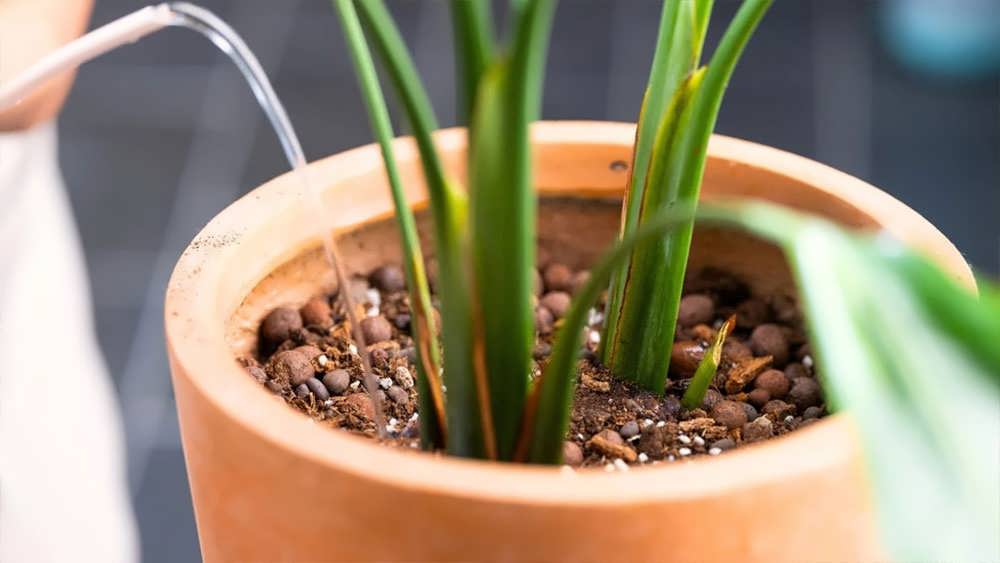 اجتناب از کودهای شیمیایی