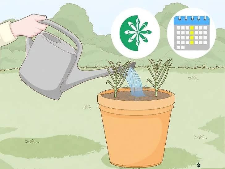 برنامه آبیاری