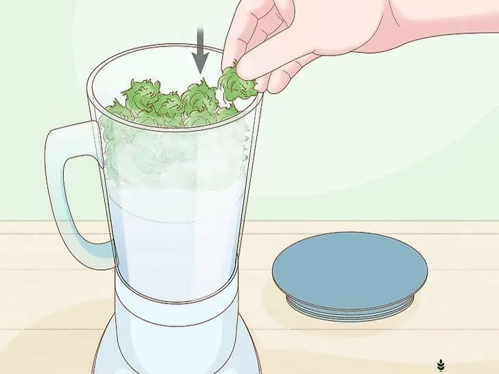 اضافه کردن خزه به مخلوط کن