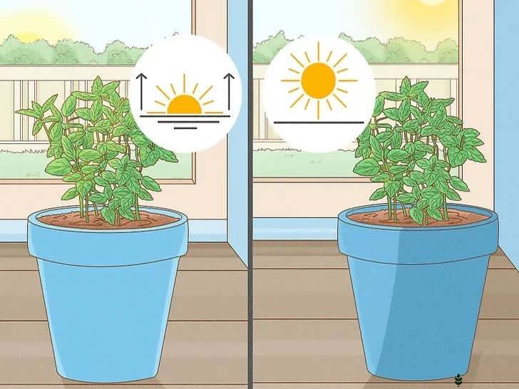 محل با نور کافی